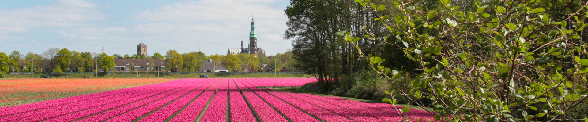 Lente op komst: klaar voor een zorgeloos recreatieseizoen?